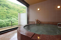 Hotel ASAYA Nikko A09