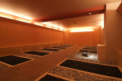 Hotel ASAYA Nikko A15